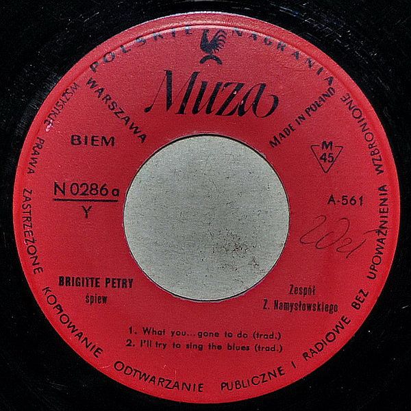 https://www.discogs.com/release/3672011-Brigitte-Petry-What-You-Gone-To-Do