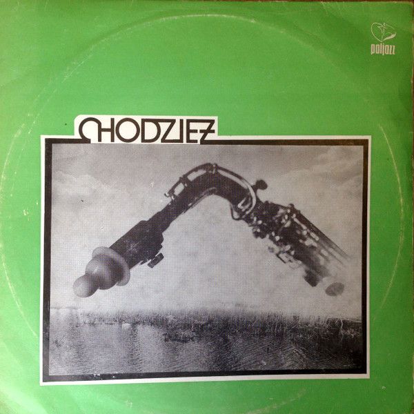 https://www.discogs.com/release/11820273-Zbigniew-Wegehaupt-Wojciech-Kami%C5%84ski-Wojciech-Karolak-Tadeusz-Federowski-Chodzie%C5%BC-P%C5%82yta-Dydaktycz