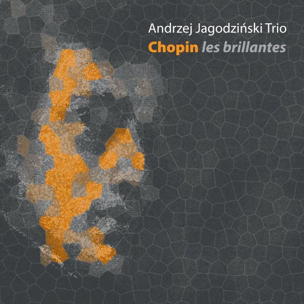 https://www.discogs.com/release/19185394-Andrzej-Jagodzi%C5%84ski-Trio-Chopin-Les-Brillantes