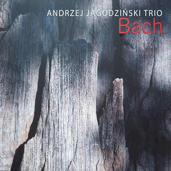 https://www.discogs.com/release/24520733-Andrzej-Jagodzi%C5%84ski-Trio-Bach