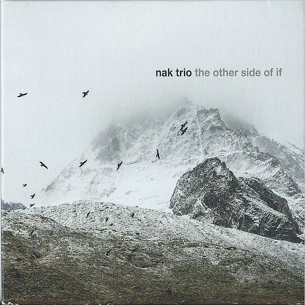 https://www.discogs.com/release/8884449-NAK-Trio-The-Other-Side-Of-If