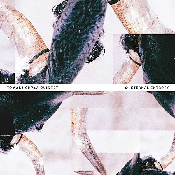 https://www.discogs.com/release/10425847-Tomasz-Chy%C5%82a-Quintet-Eternal-Entropy
