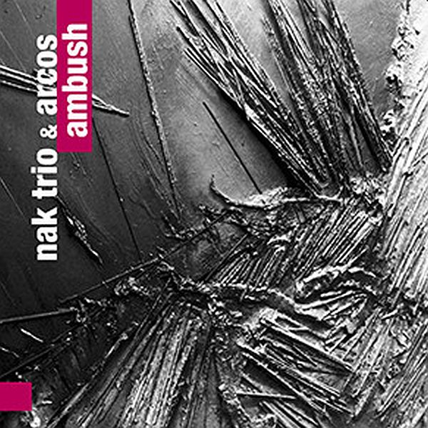 https://www.discogs.com/release/10311547-NAK-Trio-Arcos-Ambush