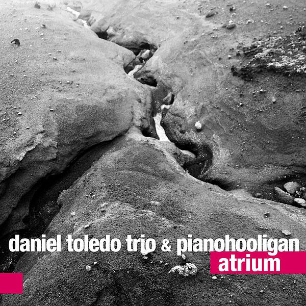 https://www.discogs.com/release/10114911-Daniel-Toledo-Trio-Pianohooligan-Atrium