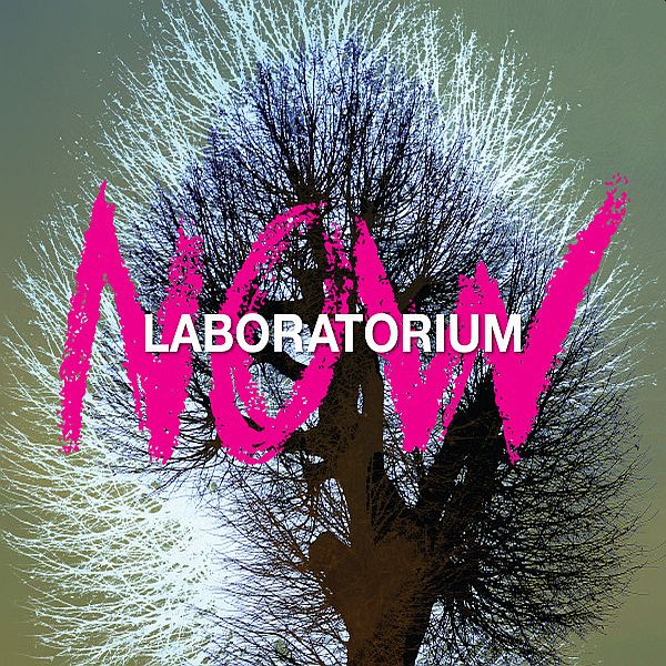 https://www.discogs.com/release/12925490-Laboratorium-Now