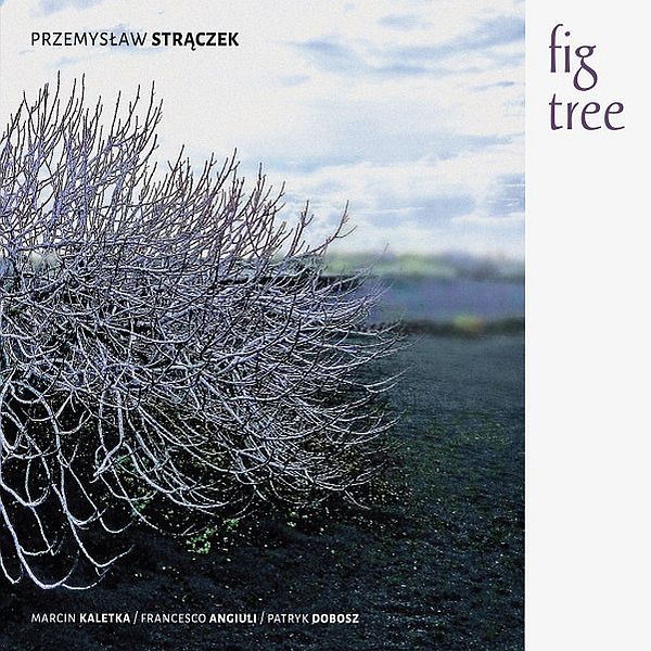 https://www.discogs.com/release/17814535-Przemys%C5%82aw-Str%C4%85czek-Fig-Tree