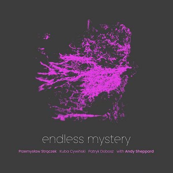 https://przemekstraczek.com/plyty-albumy-cd-audio/