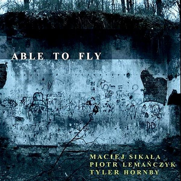 https://www.discogs.com/release/7138702-Maciej-Sika%C5%82a-Piotr-Lema%C5%84czyk-Tyler-Hornby-Able-To-Fly