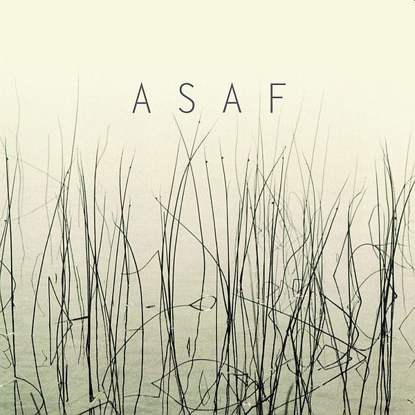https://www.discogs.com/release/18410095-ASAF-ASAF