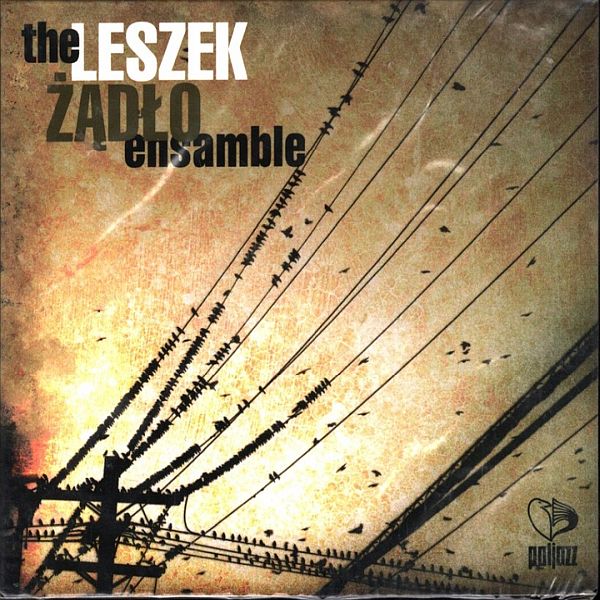 https://www.discogs.com/release/2964035-Leszek-Zadlo-Ensamble-Inner-Silence