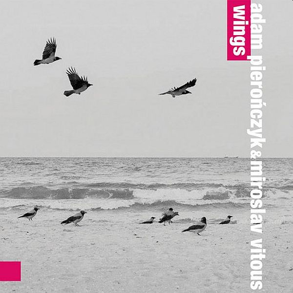 https://www.discogs.com/release/7848061-Adam-Piero%C5%84czyk-Miroslav-Vitous-Wings