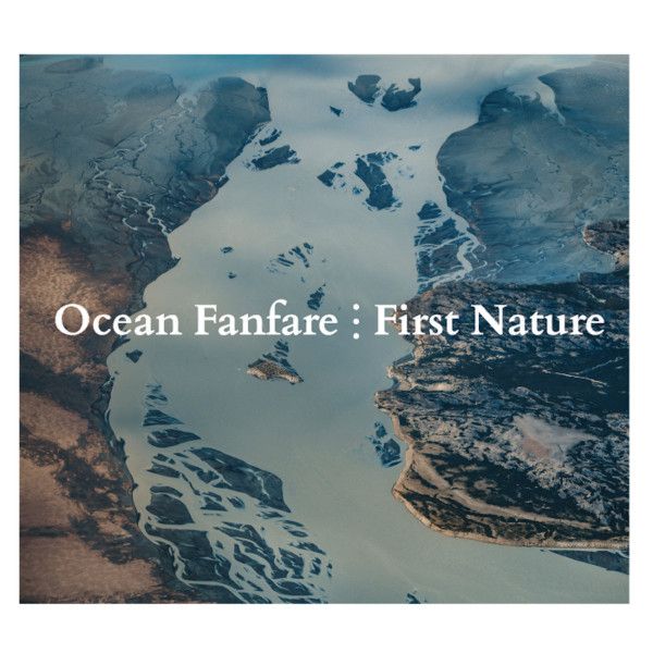 https://www.discogs.com/release/26118407-Ocean-Fanfare-First-Nature