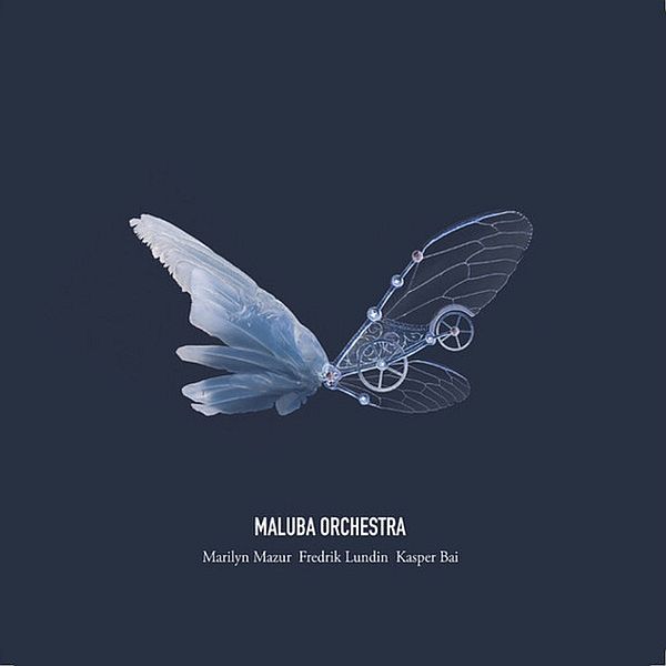 https://www.discogs.com/release/14083954-Maluba-Orchestra-Maluba-Orchestra