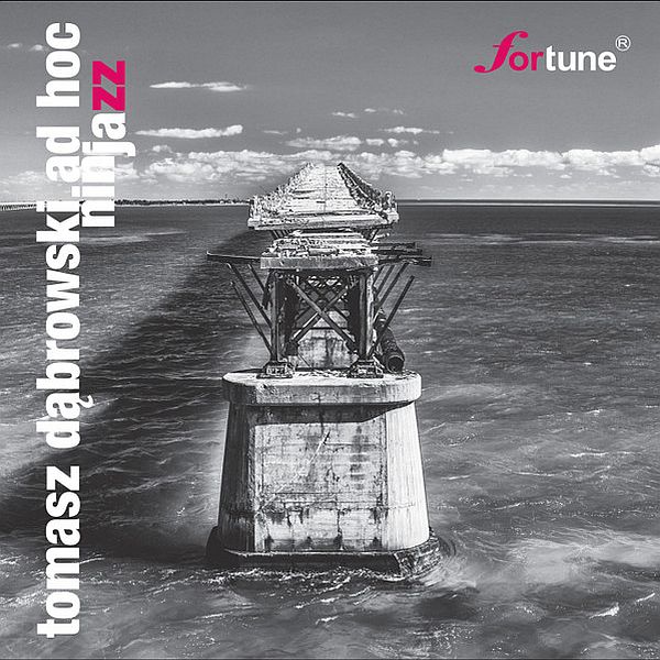 https://www.discogs.com/release/12249482-Tomasz-Dabrowski-AD-HOC-Ninjazz