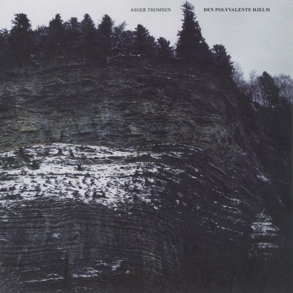 https://www.discogs.com/release/9833712-Asger-Thomsen-Den-Polyvalente-Hjelm